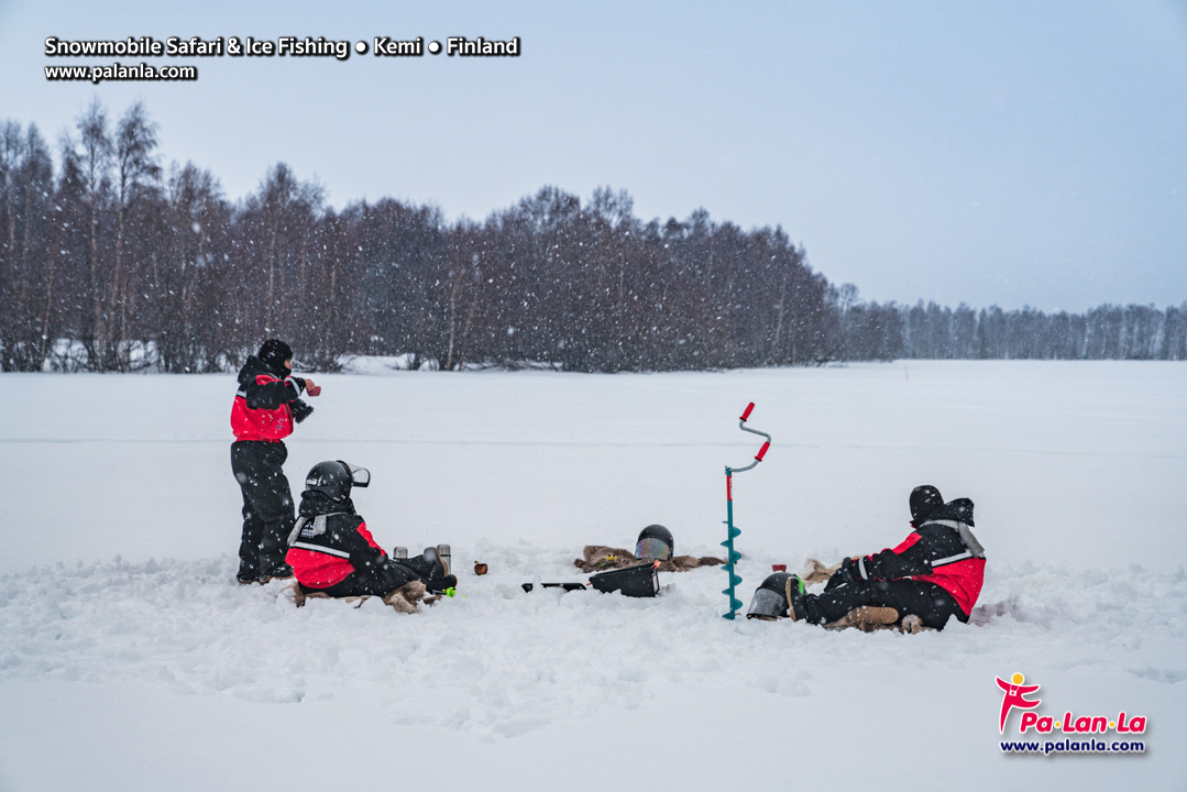 7 Days in Lapland